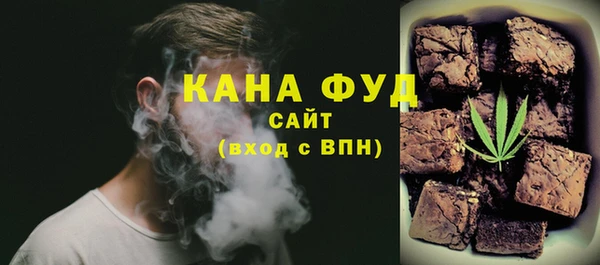индика Арсеньев