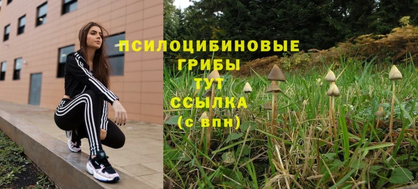 бошки Аркадак