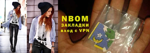 индика Арсеньев