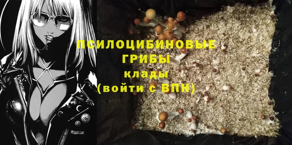 бошки Аркадак