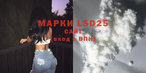 индика Арсеньев