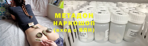 индика Арсеньев