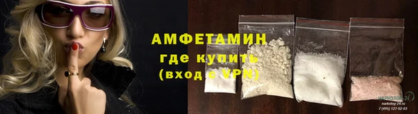 индика Арсеньев