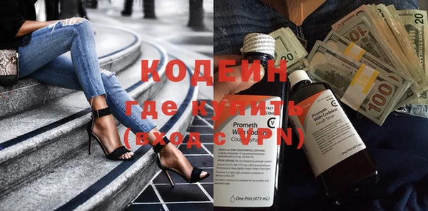 индика Арсеньев