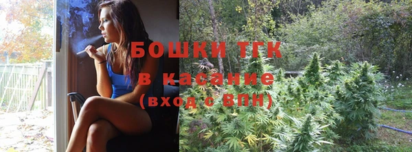 индика Арсеньев