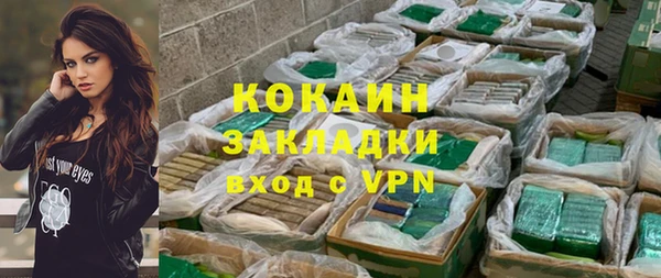индика Арсеньев
