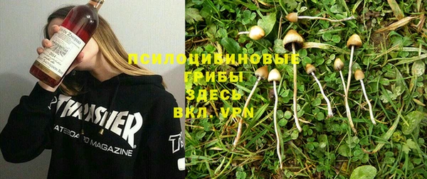 бошки Аркадак